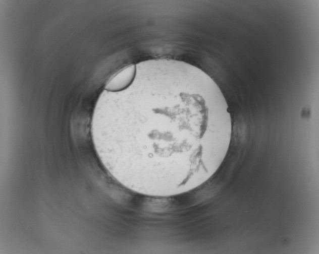 X0000112150671200909181425