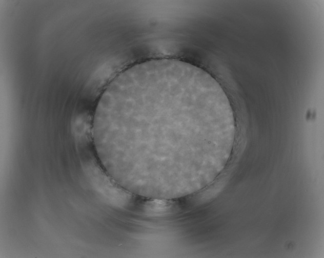 X0000112150672200909181425
