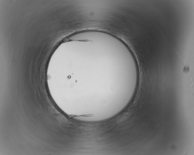 X0000112150673200909181424