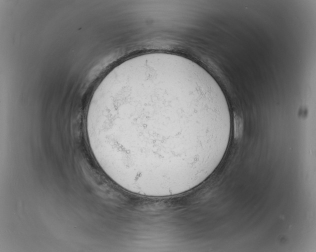 X0000112150675200909181424