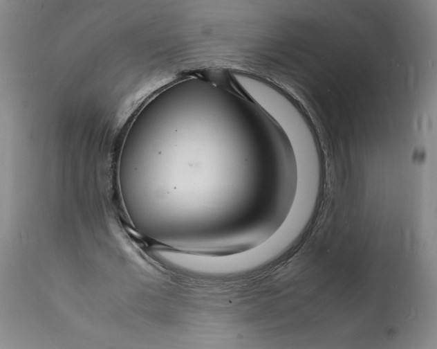 X0000112150677200909181424