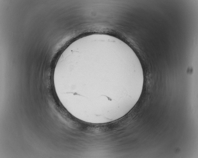 X0000112150679200909181424