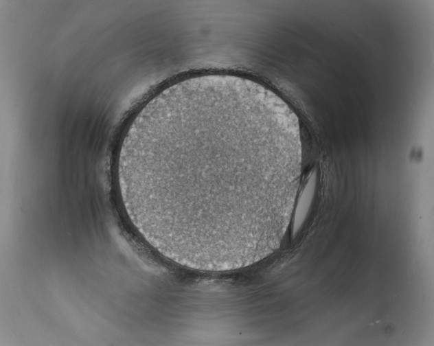 X0000112150680200909181424