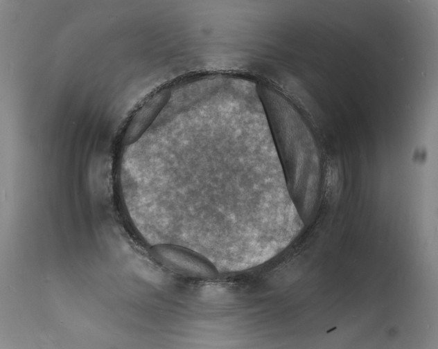 X0000112150684200909181424