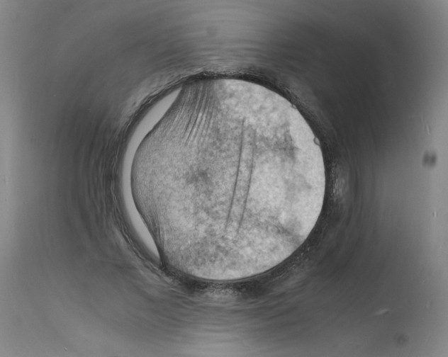 X0000112150685200909181424
