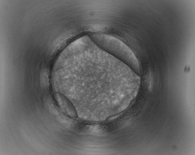 X0000112150688200909181424
