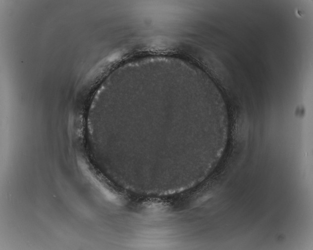 X0000112150689200909181424
