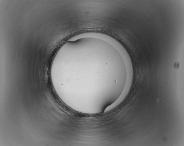 X0000112150692200909181424