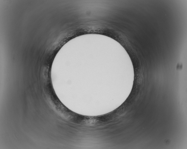 X0000112150695200909181424