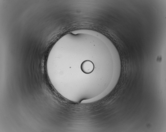 X0000112150696200909181424