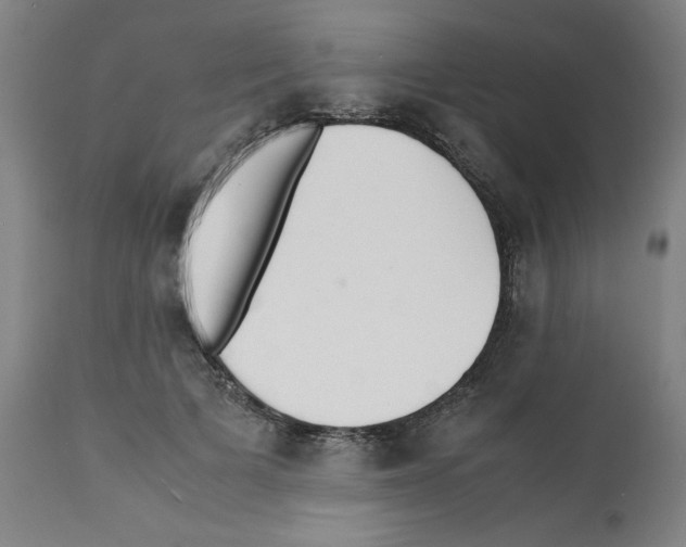 X0000112150697200909181424
