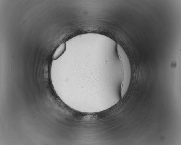 X0000112150700200909181424