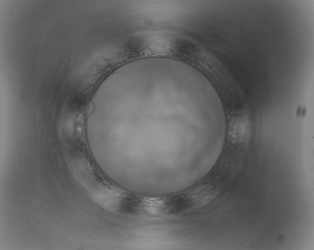 X0000112150701200909181423