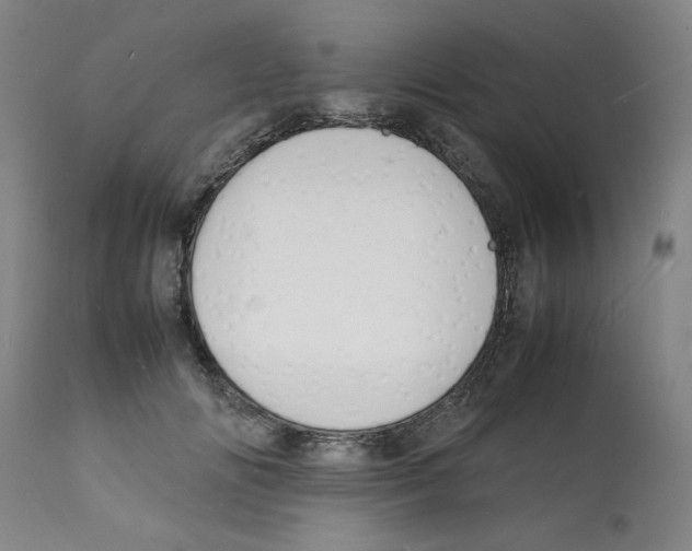 X0000112150702200909181423