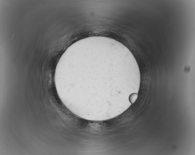 X0000112150703200909181423