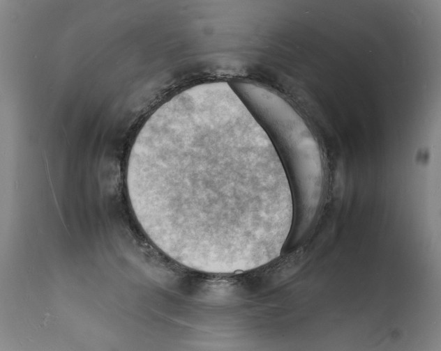 X0000112150704200909181423