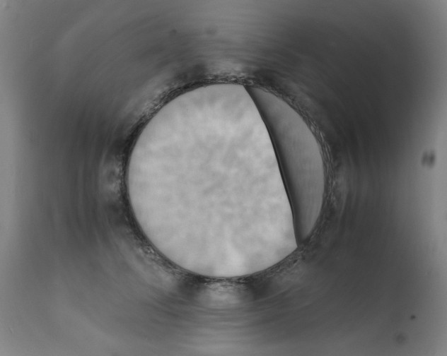 X0000112150708200909181423