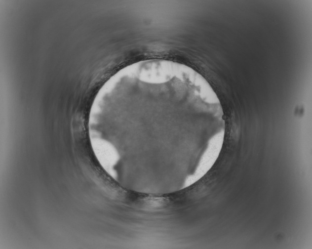 X0000112150711200909181423