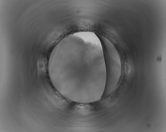 X0000112150712200909181423