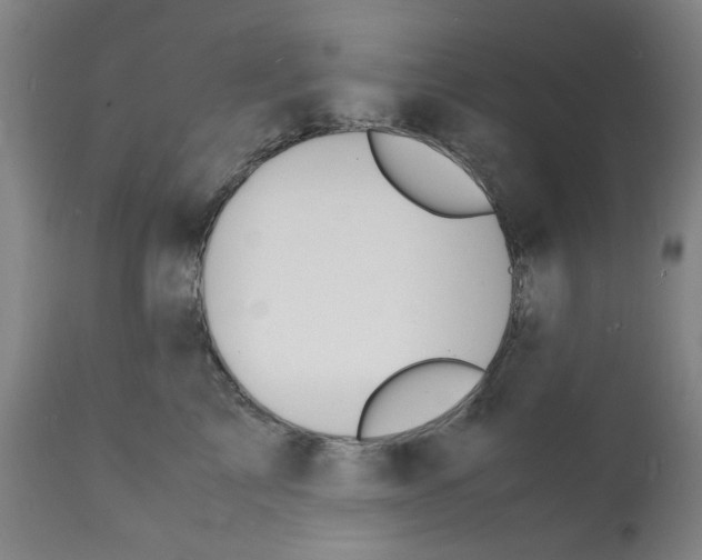 X0000112150713200909181423