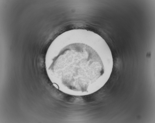 X0000112150715200909181423