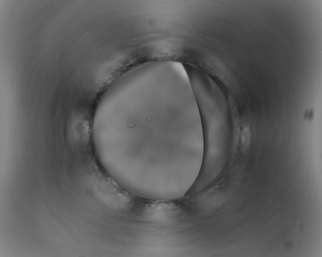 X0000112150716200909181423