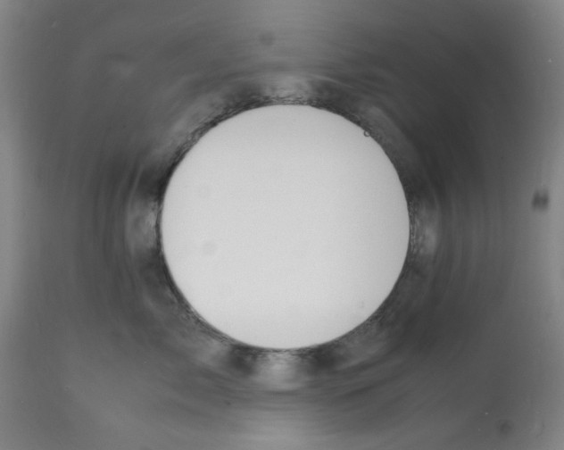 X0000112150717200909181423
