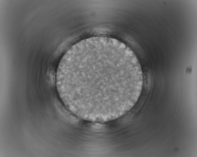 X0000112150718200909181423