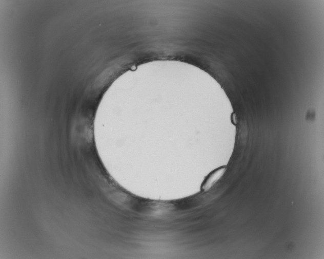 X0000112150719200909181423