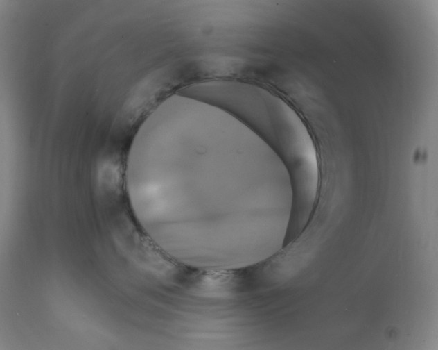 X0000112150720200909181423
