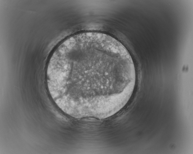 X0000112150721200909181422