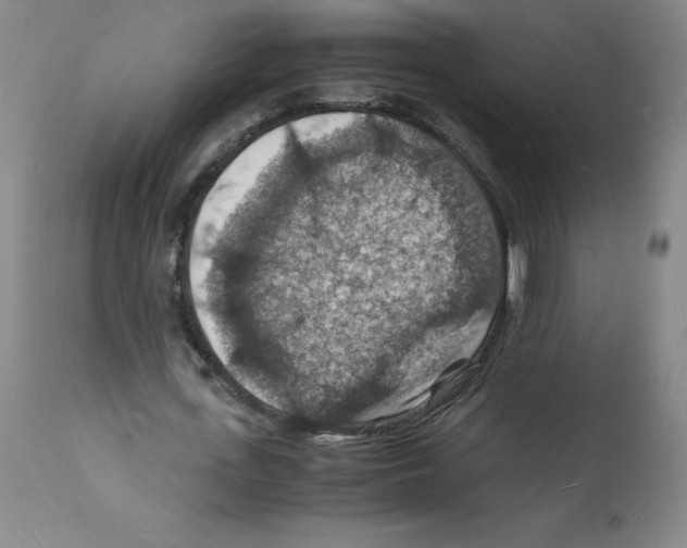 X0000112150723200909181422