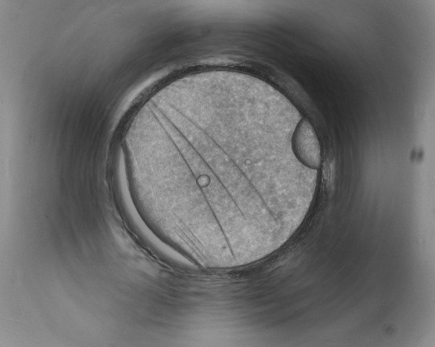 X0000112150724200909181422