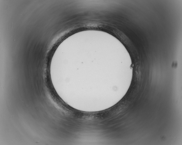 X0000112150728200909181422