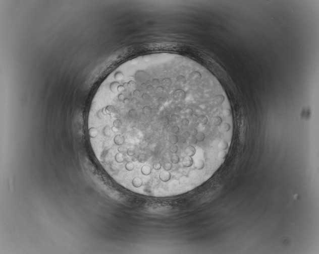 X0000112150729200909181423