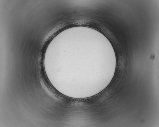 X0000112150730200909181423