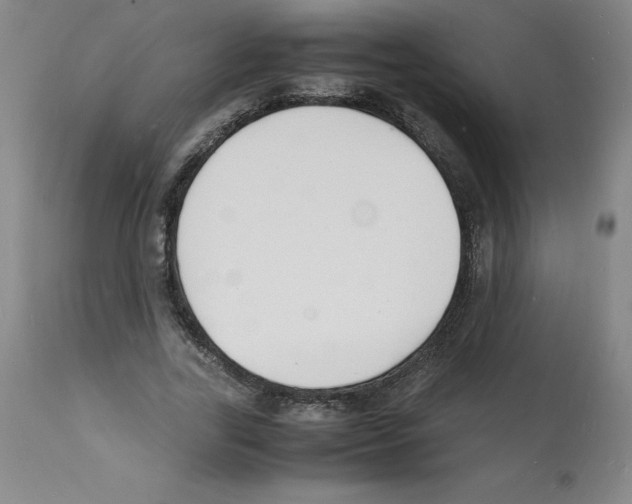 X0000112150731200909181423