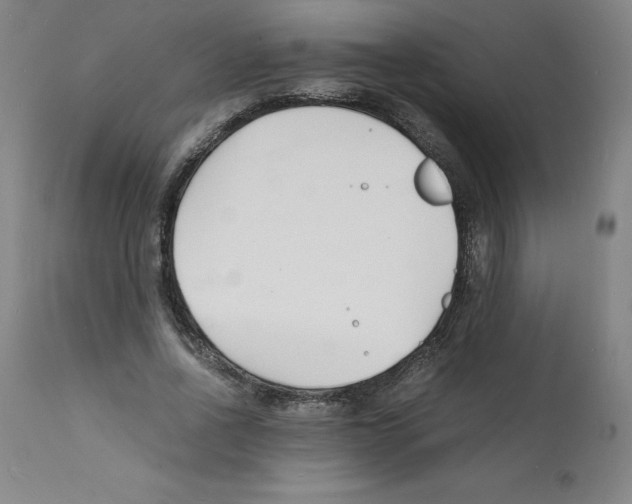 X0000112150734200909181423