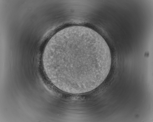 X0000112150736200909181423