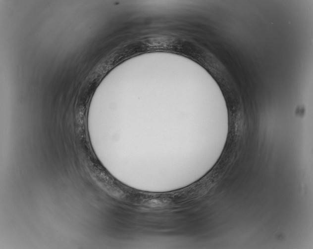 X0000112150737200909181423