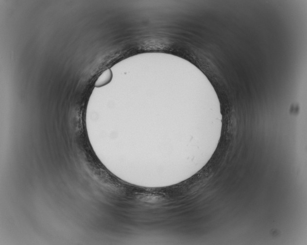 X0000112150743200909181423