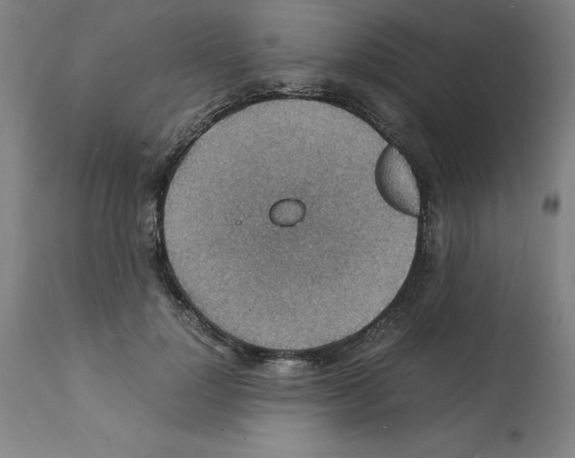 X0000112150748200909181423