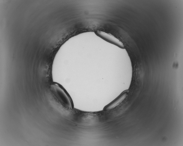 X0000112150750200909181423