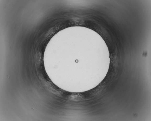 X0000112150752200909181423