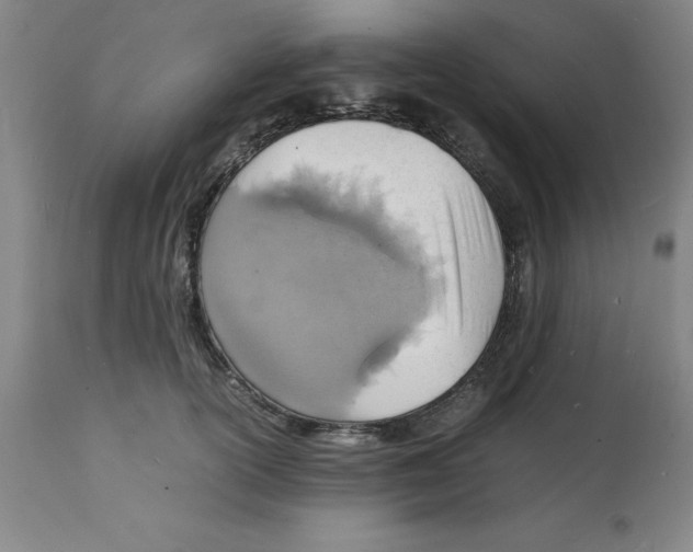 X0000112150754200909181423