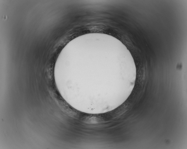 X0000112150755200909181423