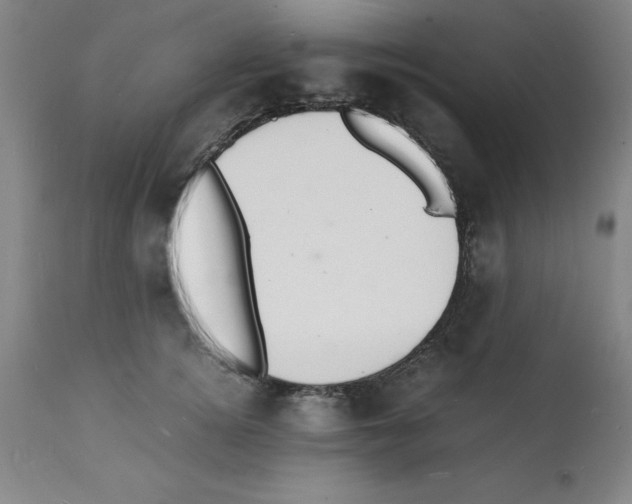 X0000112150756200909181423