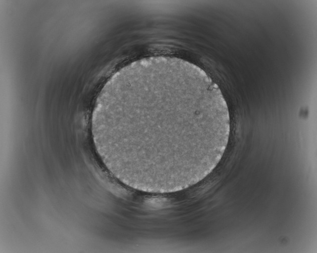X0000112150759200909181423