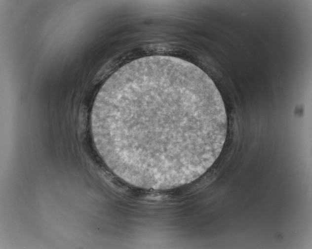 X0000112150760200909181423