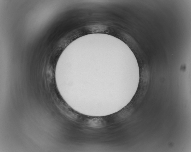 X0000112150761200909181423